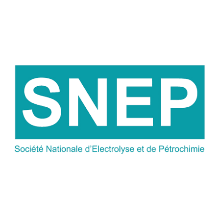 LOGO6 — PSS industrial partner